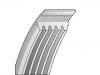 V-Ribbed Belt:5PK980